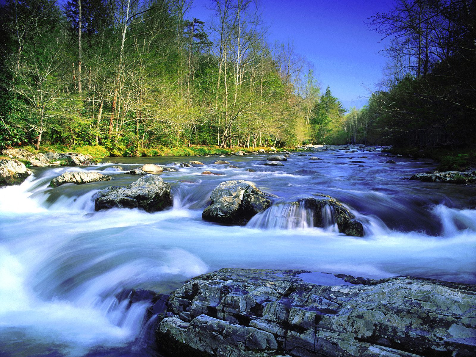 Little Pigeon River, Great Smoky Mountains National Park, Te.jpg